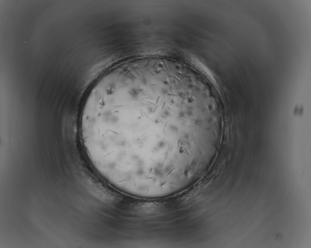 X0000090450059200708031227