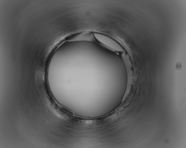 X0000090450060200708031227