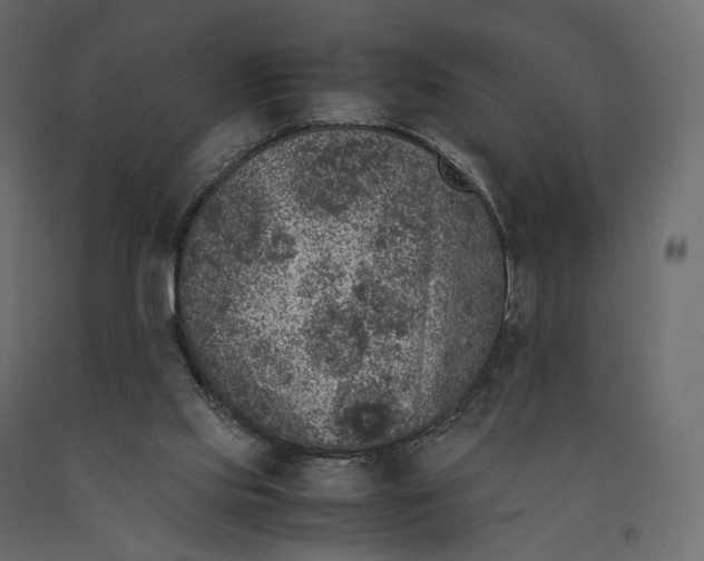 X0000090450061200708031227