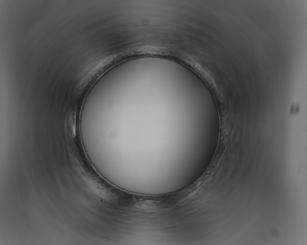 X0000090450062200708031227