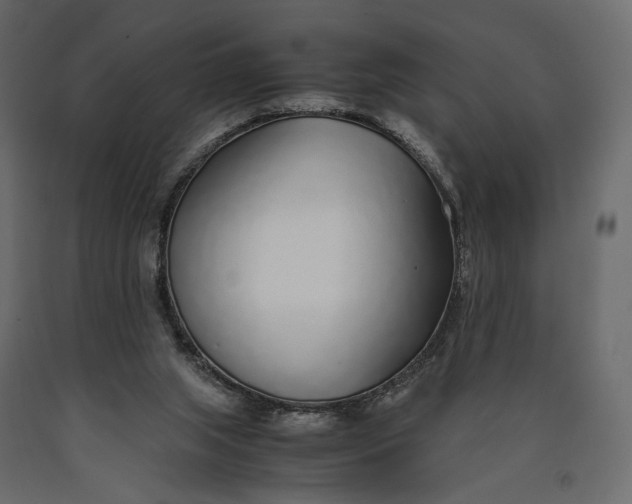 X0000090450063200708031227