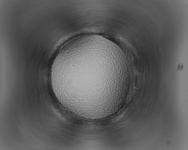 X0000090450064200708031227