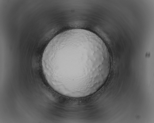 X0000090450065200708031227