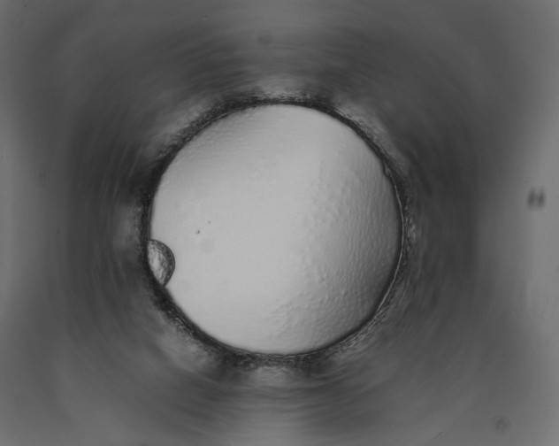 X0000090450066200708031227