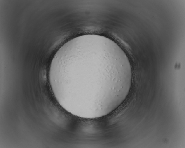 X0000090450067200708031227