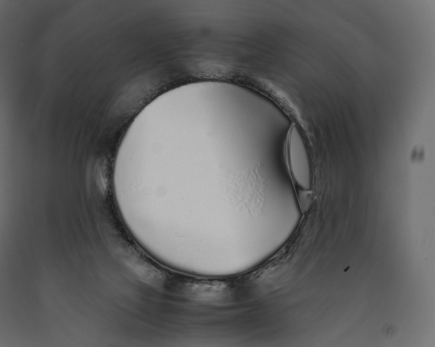 X0000090450069200708031227