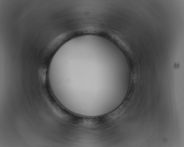 X0000090450070200708031227