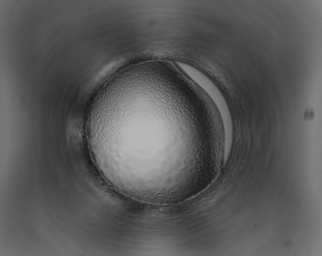 X0000090450072200708031227