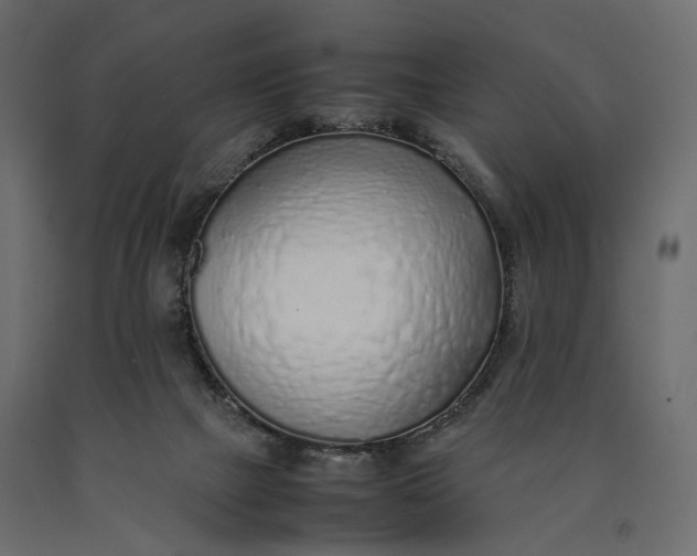 X0000090450073200708031227