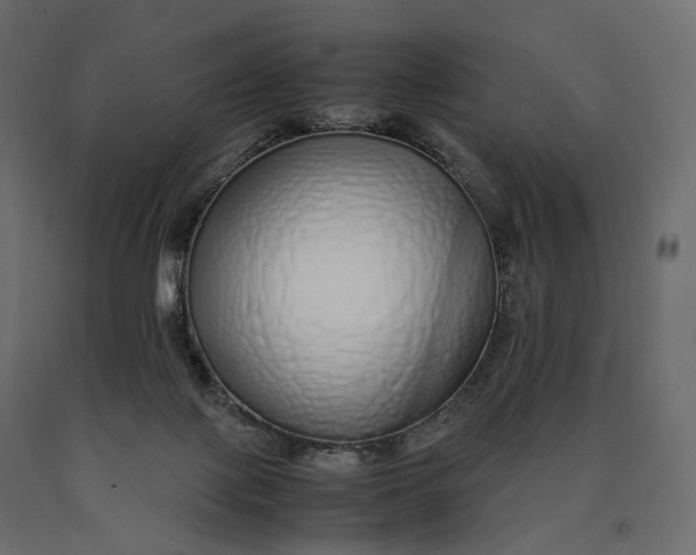 X0000090450075200708031227