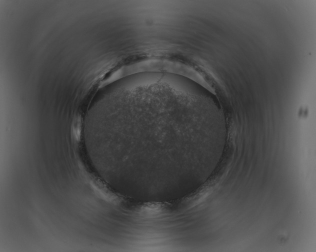 X0000090450076200708031227