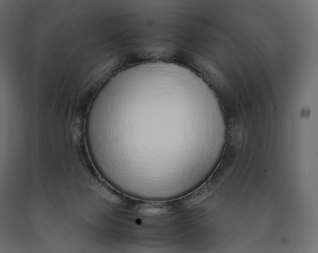 X0000090450077200708031227