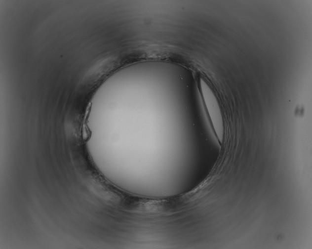 X0000090450078200708031227