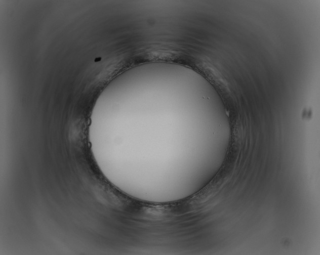 X0000090450079200708031227