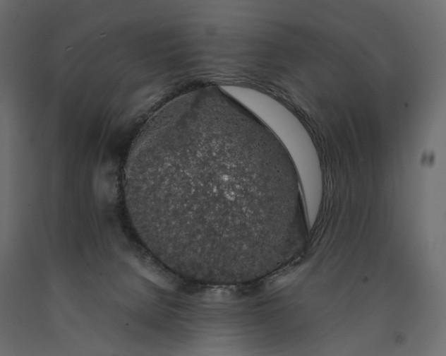 X0000090450080200708031227