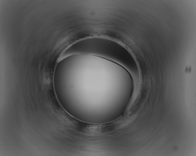 X0000090450084200708031227