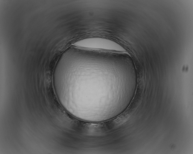 X0000090450085200708031227