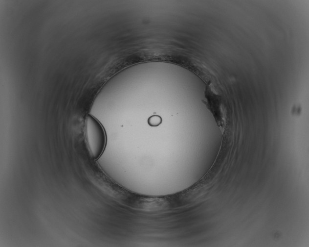 X0000090450087200708031227