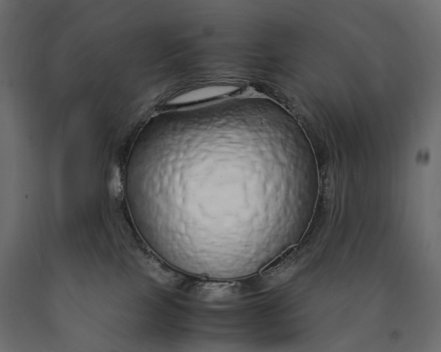 X0000090450089200708031227