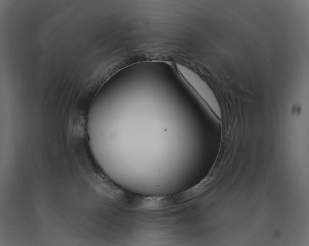 X0000090450090200708031227