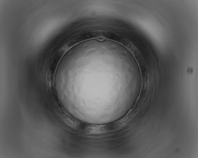 X0000090450093200708031228