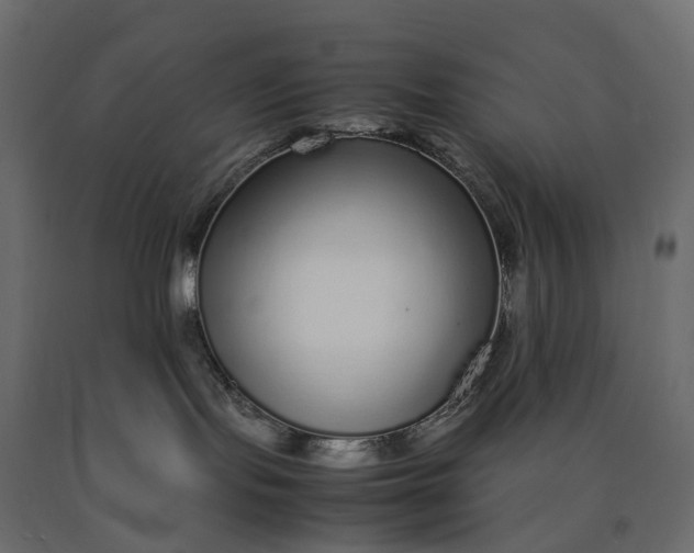 X0000090450095200708031228