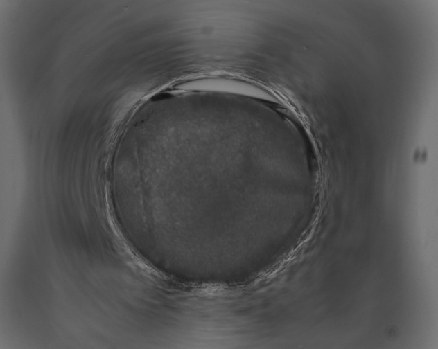 X0000090450097200708031227