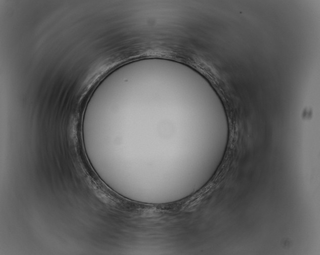 X0000090450098200708031227