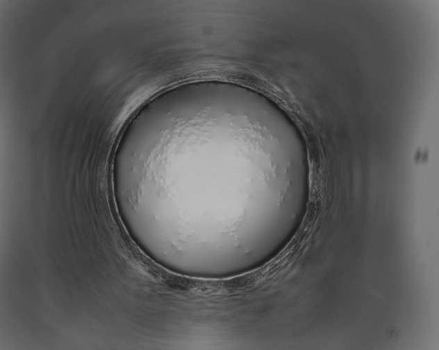 X0000090450099200708031227