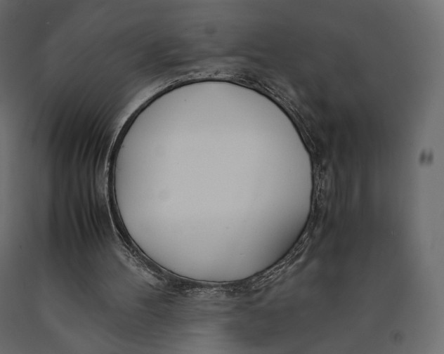 X0000090450100200708031227