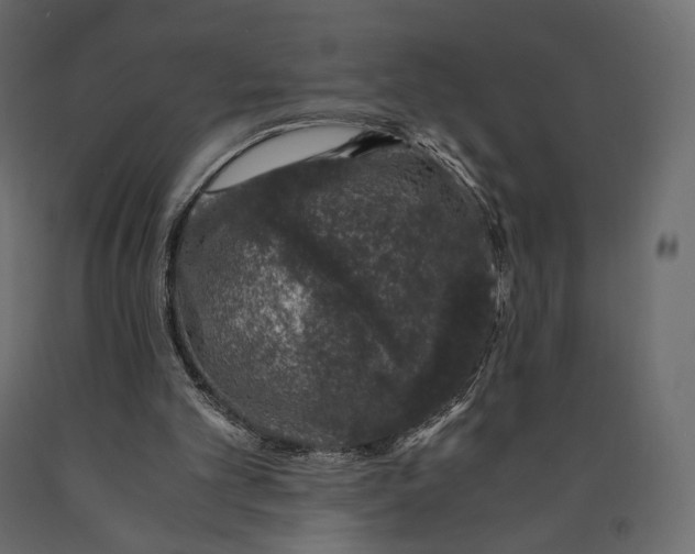 X0000090450101200708031227