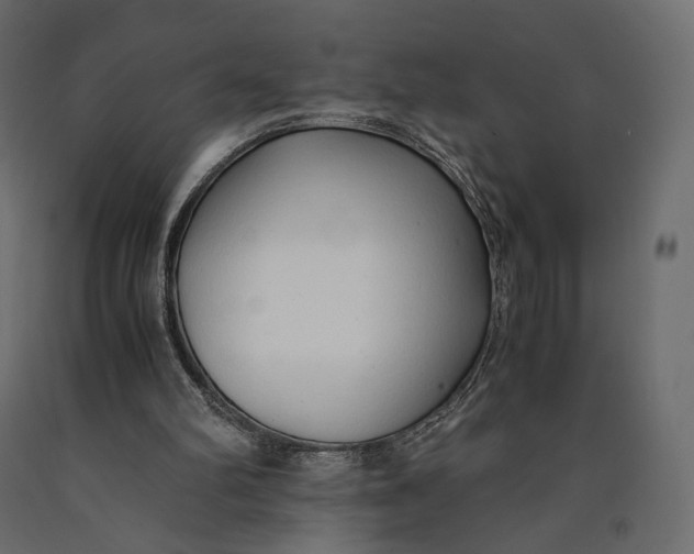 X0000090450102200708031227