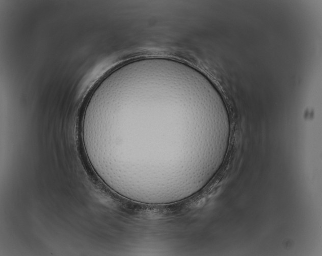 X0000090450103200708031227