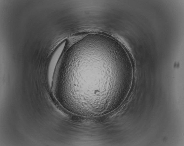 X0000090450105200708031227