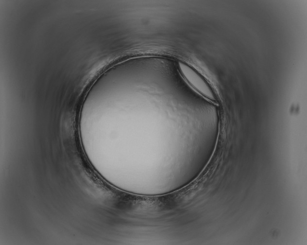 X0000090450107200708031227