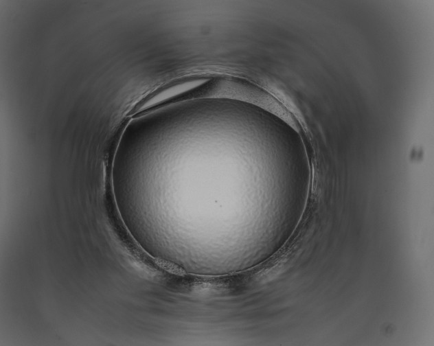 X0000090450109200708031227