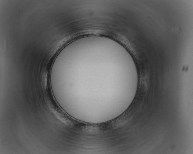 X0000090450110200708031227