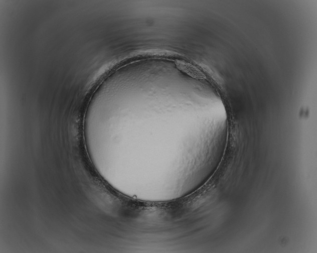 X0000090450111200708031227