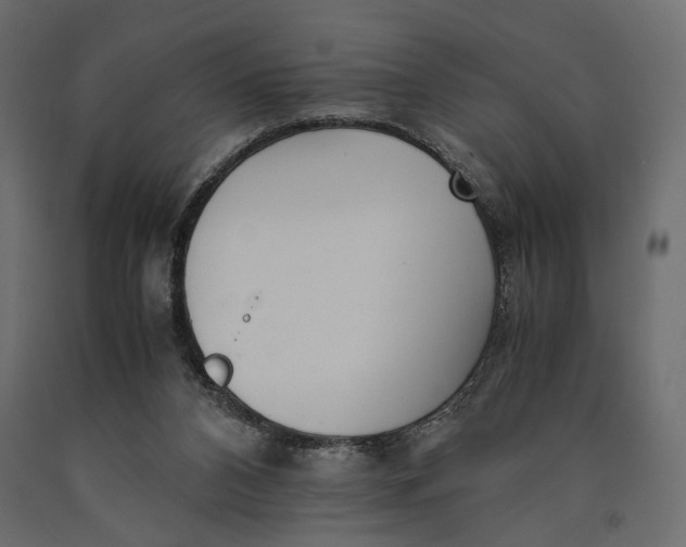 X0000090450112200708031227