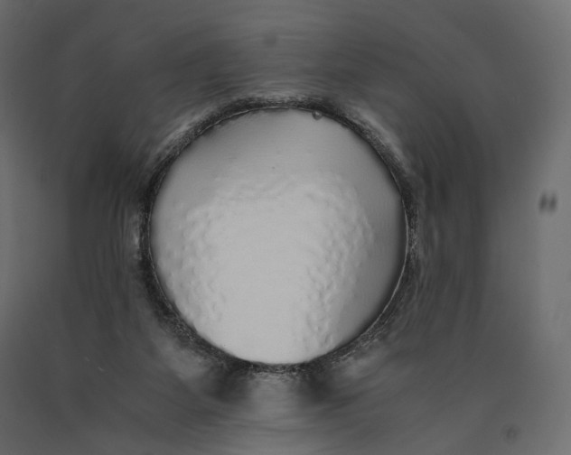 X0000090450115200708031226