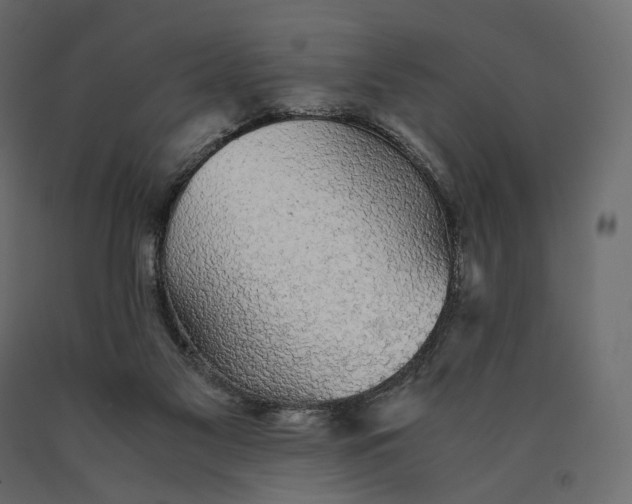 X0000090450117200708031226