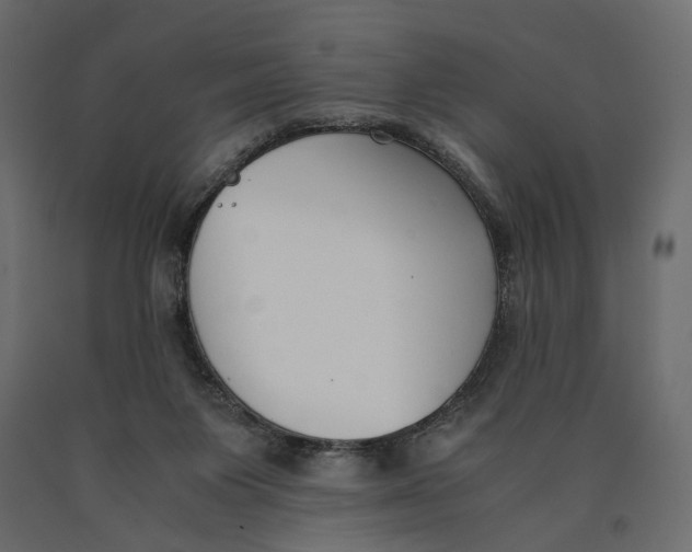 X0000090450119200708031226