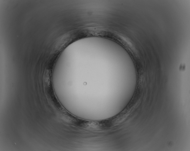 X0000090450121200708031226