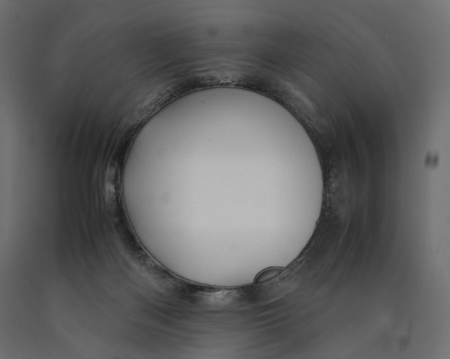 X0000090450122200708031226