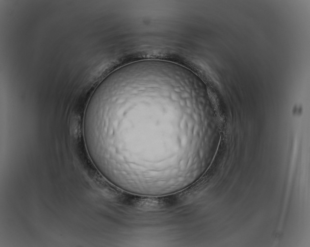 X0000090450123200708031226