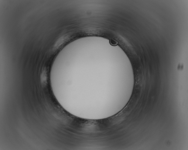 X0000090450124200708031226