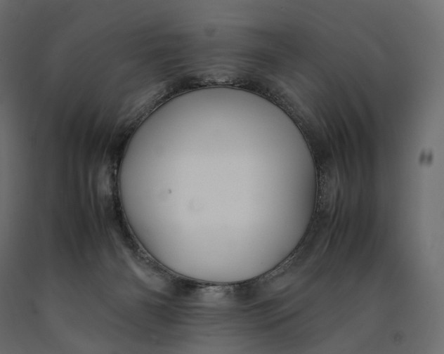 X0000090450126200708031226