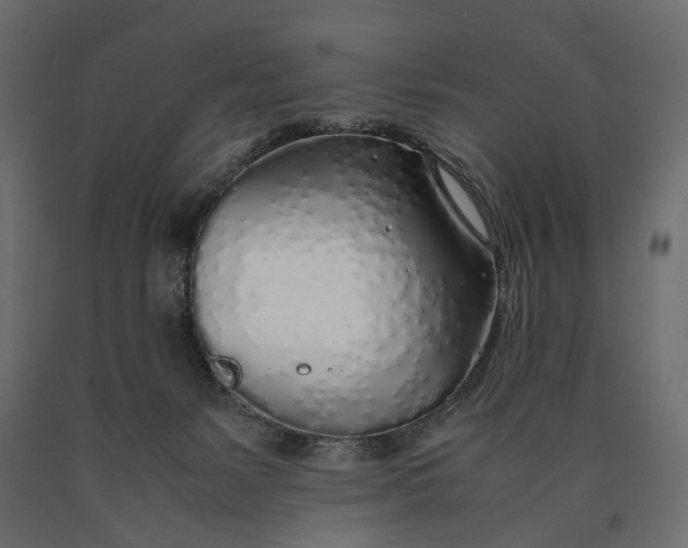 X0000090450127200708031226