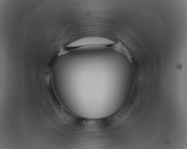 X0000090450129200708031226