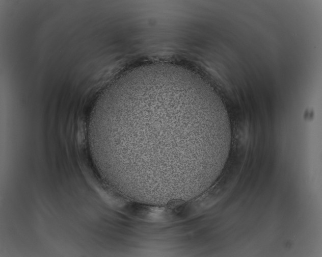 X0000090450130200708031226